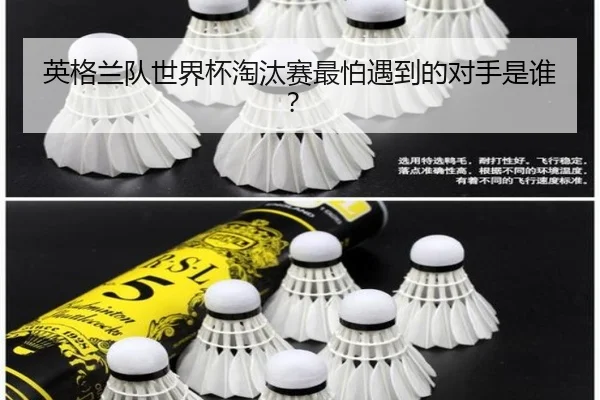 英格兰队世界杯淘汰赛最怕遇到的对手是谁？